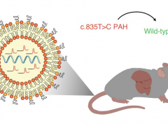 基因编辑治疗遗传病：CRISPR技术成功修复血友病基因